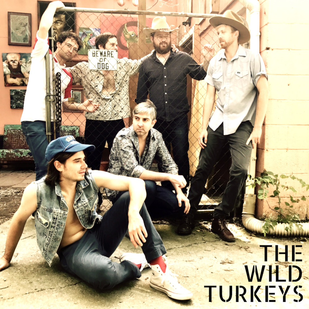 The Wild Turkeys album cover