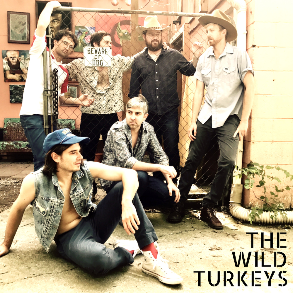 Artwork for The Wild Turkeys